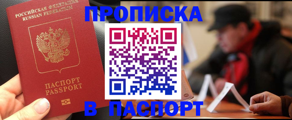 прописка 2025 в Сольцах